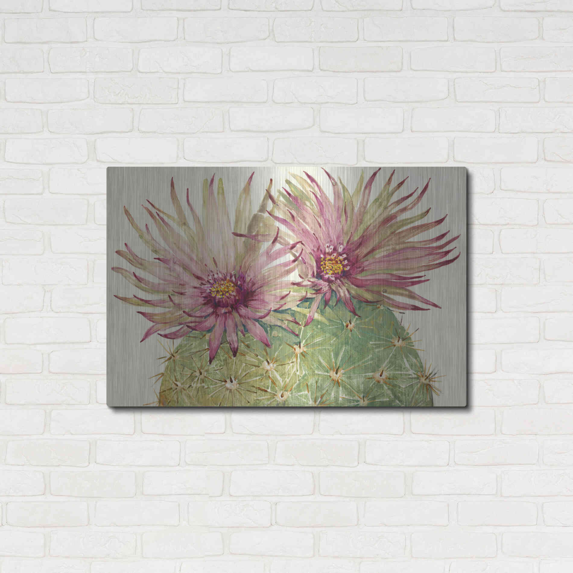 Luxe Metal Art 'Cactus Blossoms I' by Tim O'Toole, Metal Wall Art,36x24