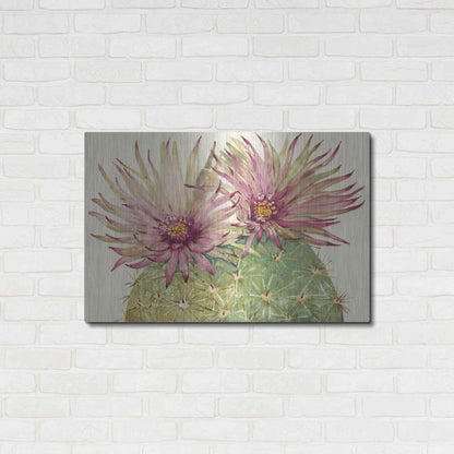 Luxe Metal Art 'Cactus Blossoms I' by Tim O'Toole, Metal Wall Art,36x24