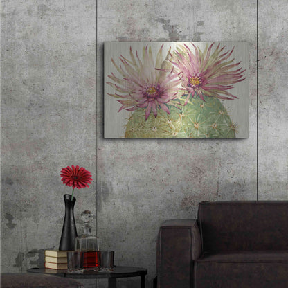 Luxe Metal Art 'Cactus Blossoms I' by Tim O'Toole, Metal Wall Art,36x24