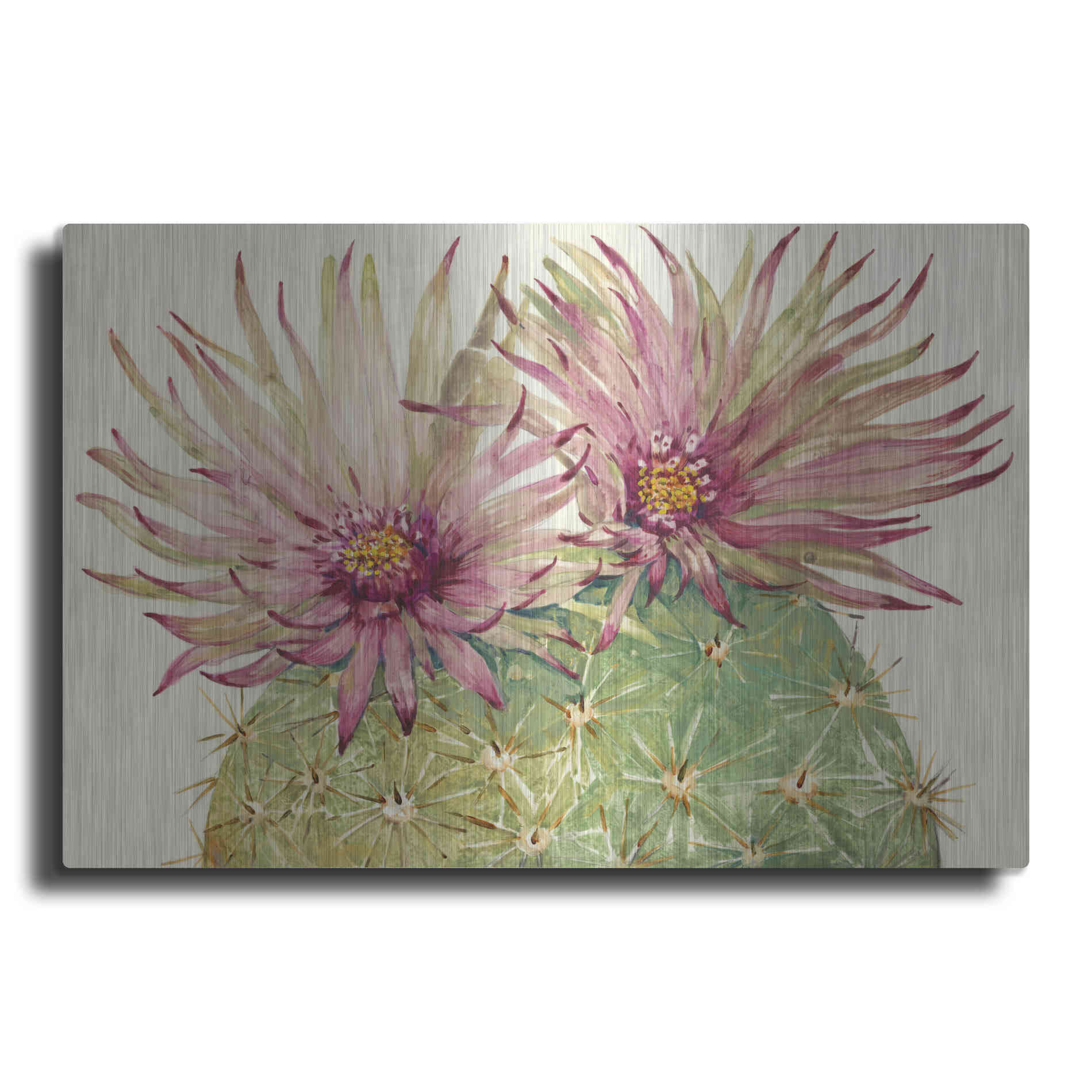 Luxe Metal Art 'Cactus Blossoms I' by Tim O'Toole, Metal Wall Art