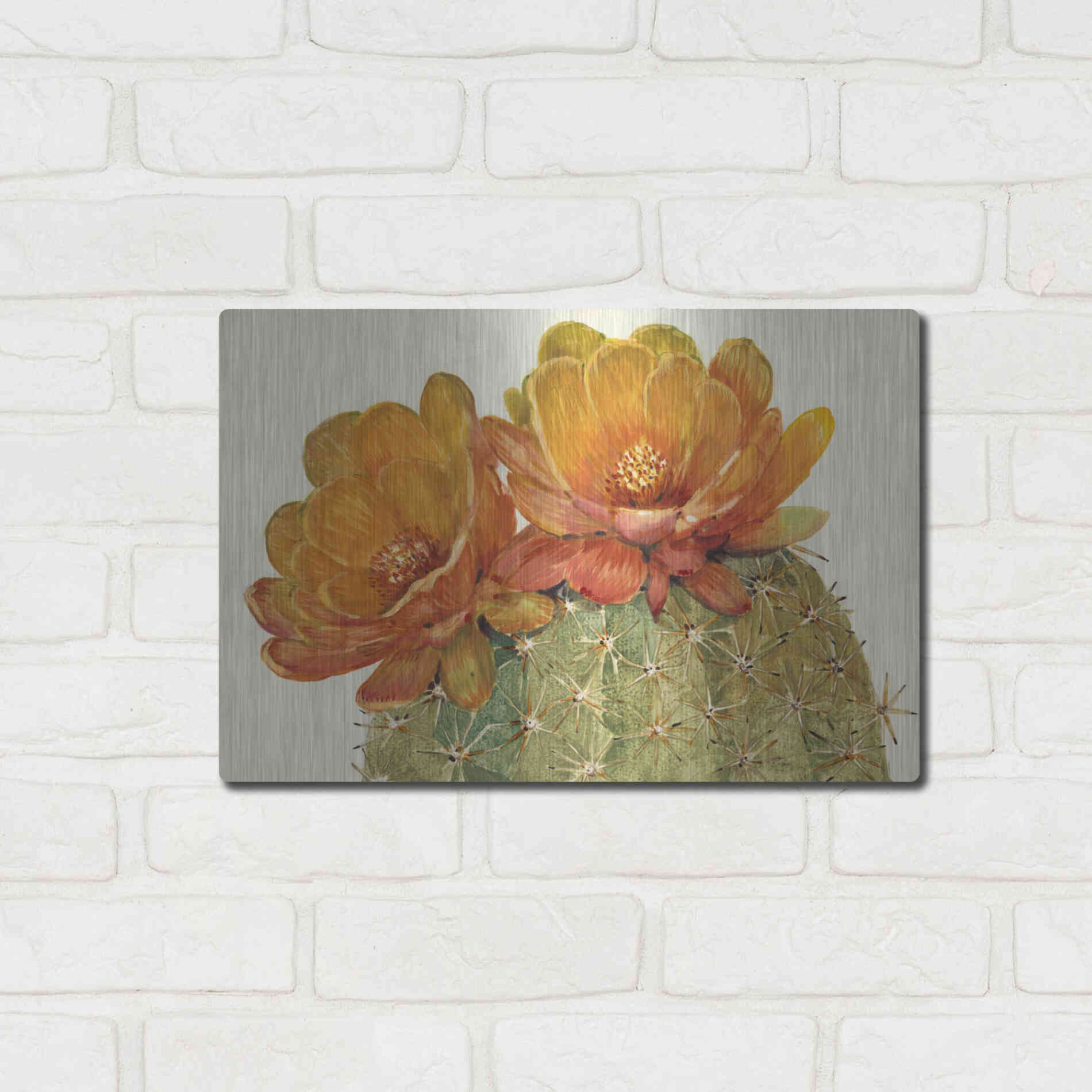 Luxe Metal Art 'Cactus Blossoms II' by Tim O'Toole, Metal Wall Art,16x12