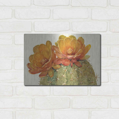 Luxe Metal Art 'Cactus Blossoms II' by Tim O'Toole, Metal Wall Art,16x12