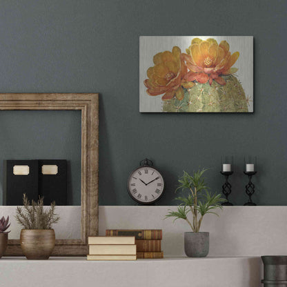 Luxe Metal Art 'Cactus Blossoms II' by Tim O'Toole, Metal Wall Art,16x12