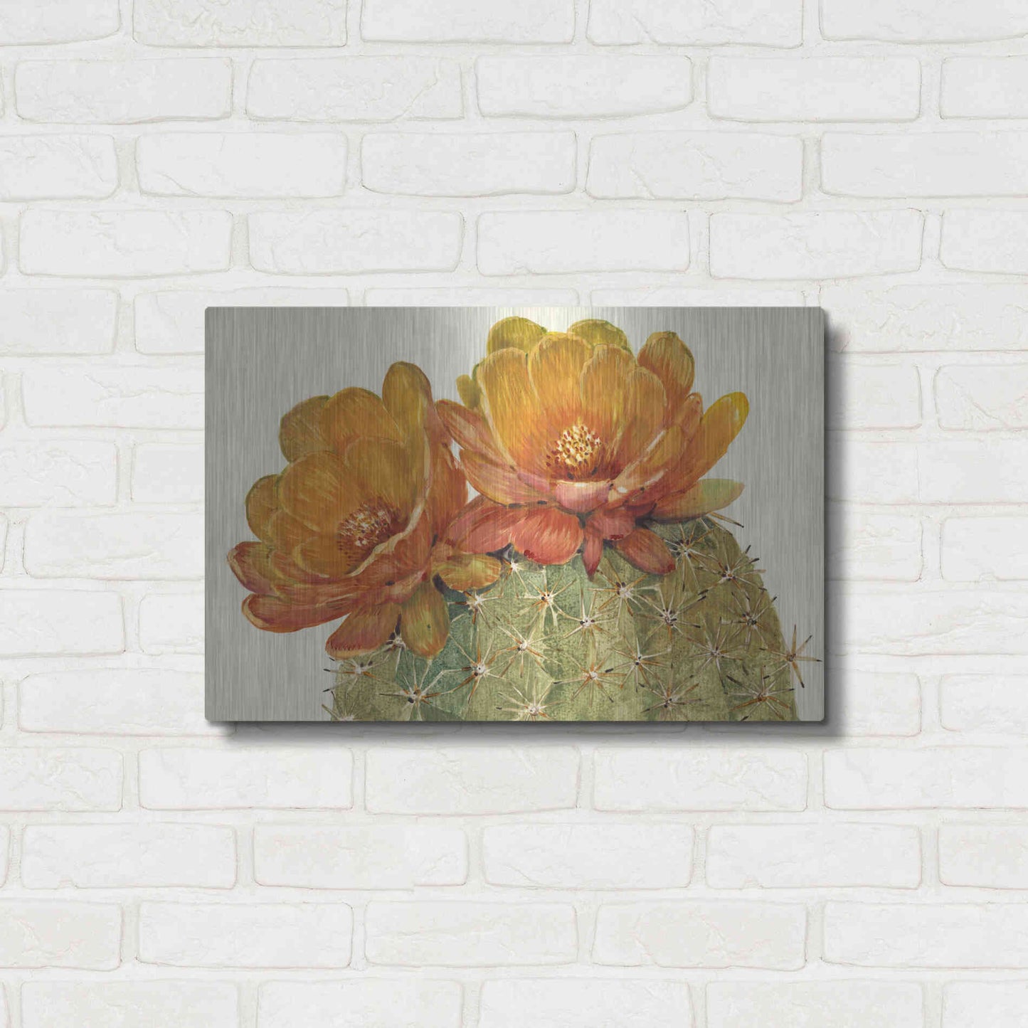 Luxe Metal Art 'Cactus Blossoms II' by Tim O'Toole, Metal Wall Art,24x16