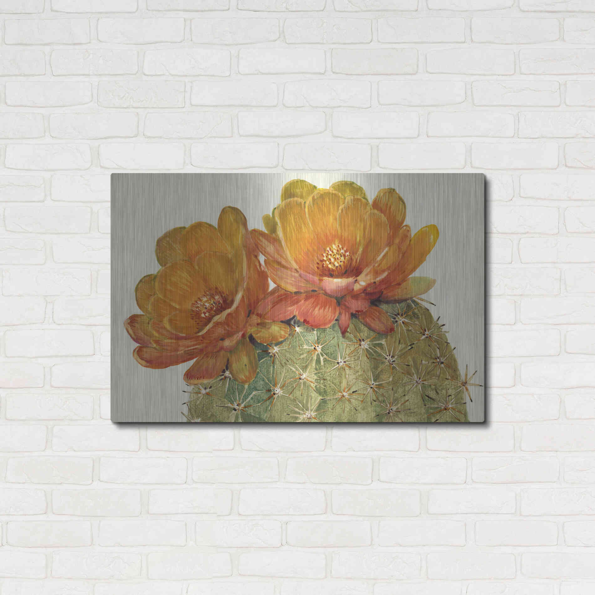 Luxe Metal Art 'Cactus Blossoms II' by Tim O'Toole, Metal Wall Art,36x24