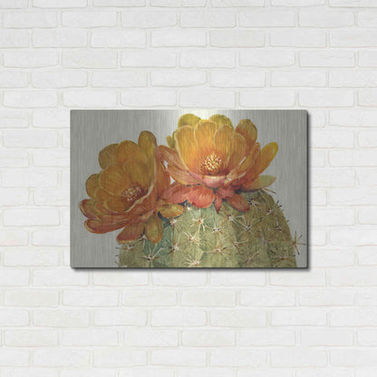 Luxe Metal Art 'Cactus Blossoms II' by Tim O'Toole, Metal Wall Art,36x24