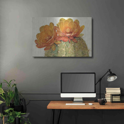 Luxe Metal Art 'Cactus Blossoms II' by Tim O'Toole, Metal Wall Art,36x24