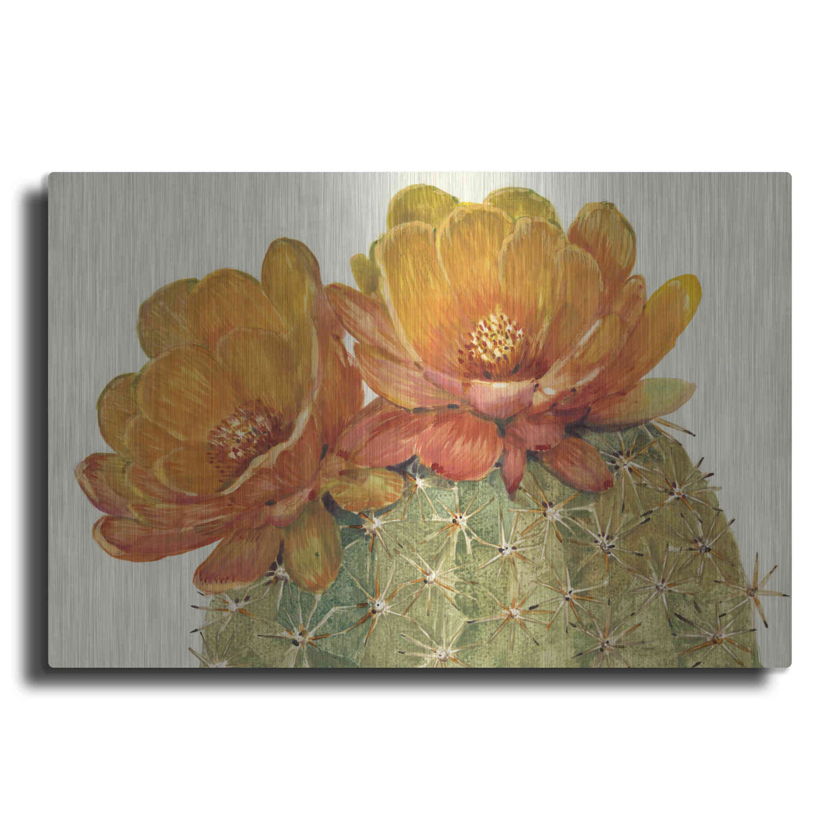 Luxe Metal Art 'Cactus Blossoms II' by Tim O'Toole, Metal Wall Art
