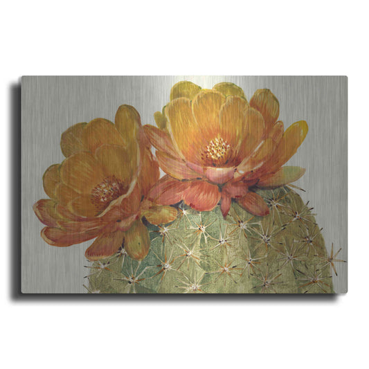 Luxe Metal Art 'Cactus Blossoms II' by Tim O'Toole, Metal Wall Art