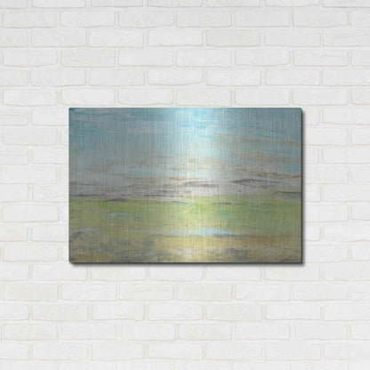 Luxe Metal Art 'Distant Front Range II' by Tim O'Toole, Metal Wall Art,36x24