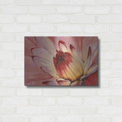 Luxe Metal Art 'Micro Floral I' by Tim O'Toole, Metal Wall Art,24x16