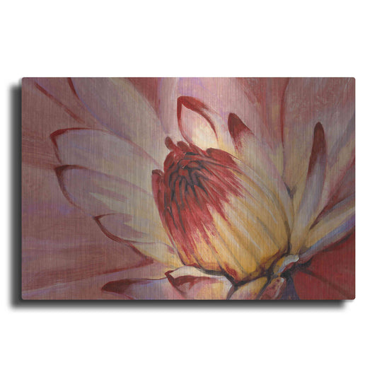 Luxe Metal Art 'Micro Floral I' by Tim O'Toole, Metal Wall Art