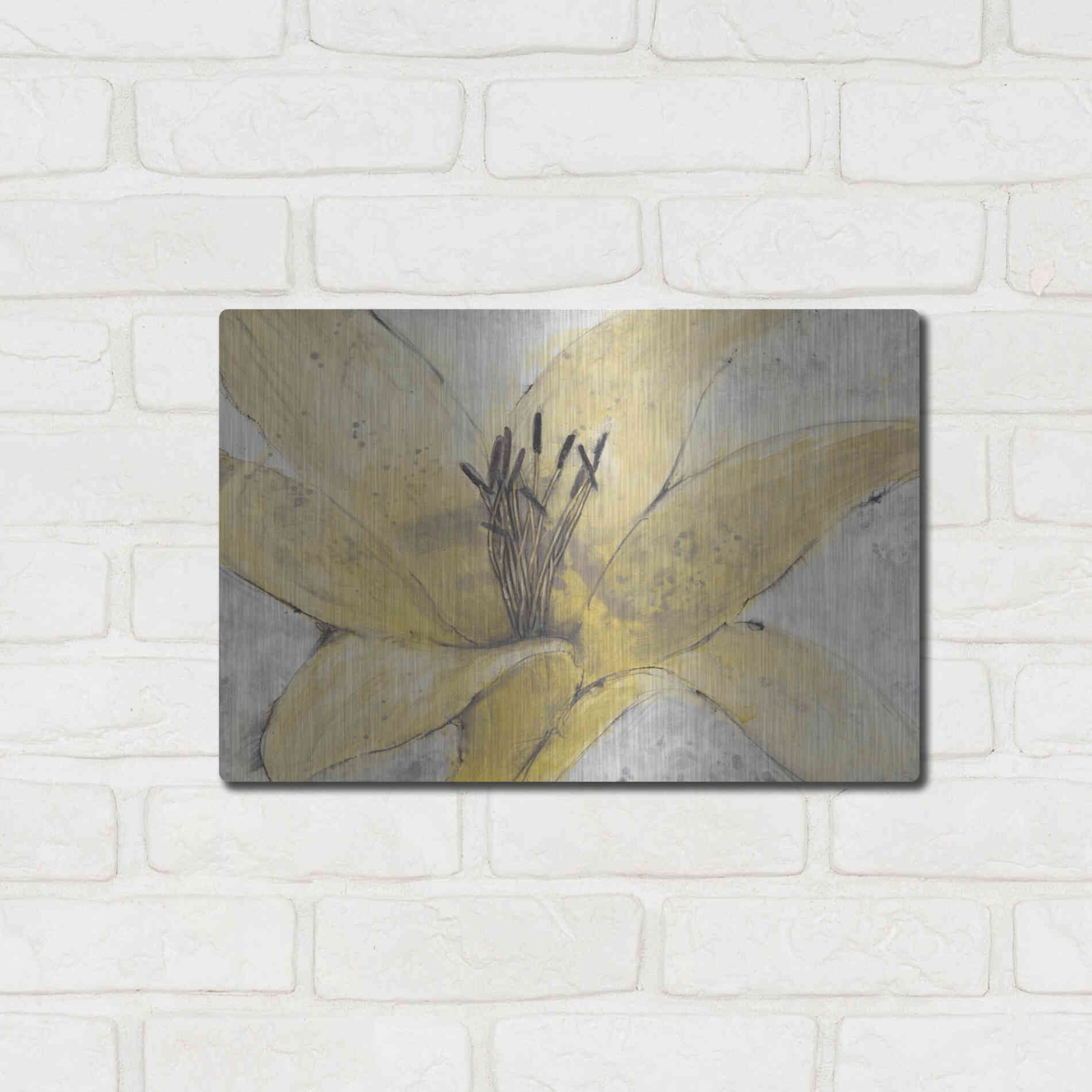 Luxe Metal Art 'Transparency Flower I' by Tim O'Toole, Metal Wall Art,16x12