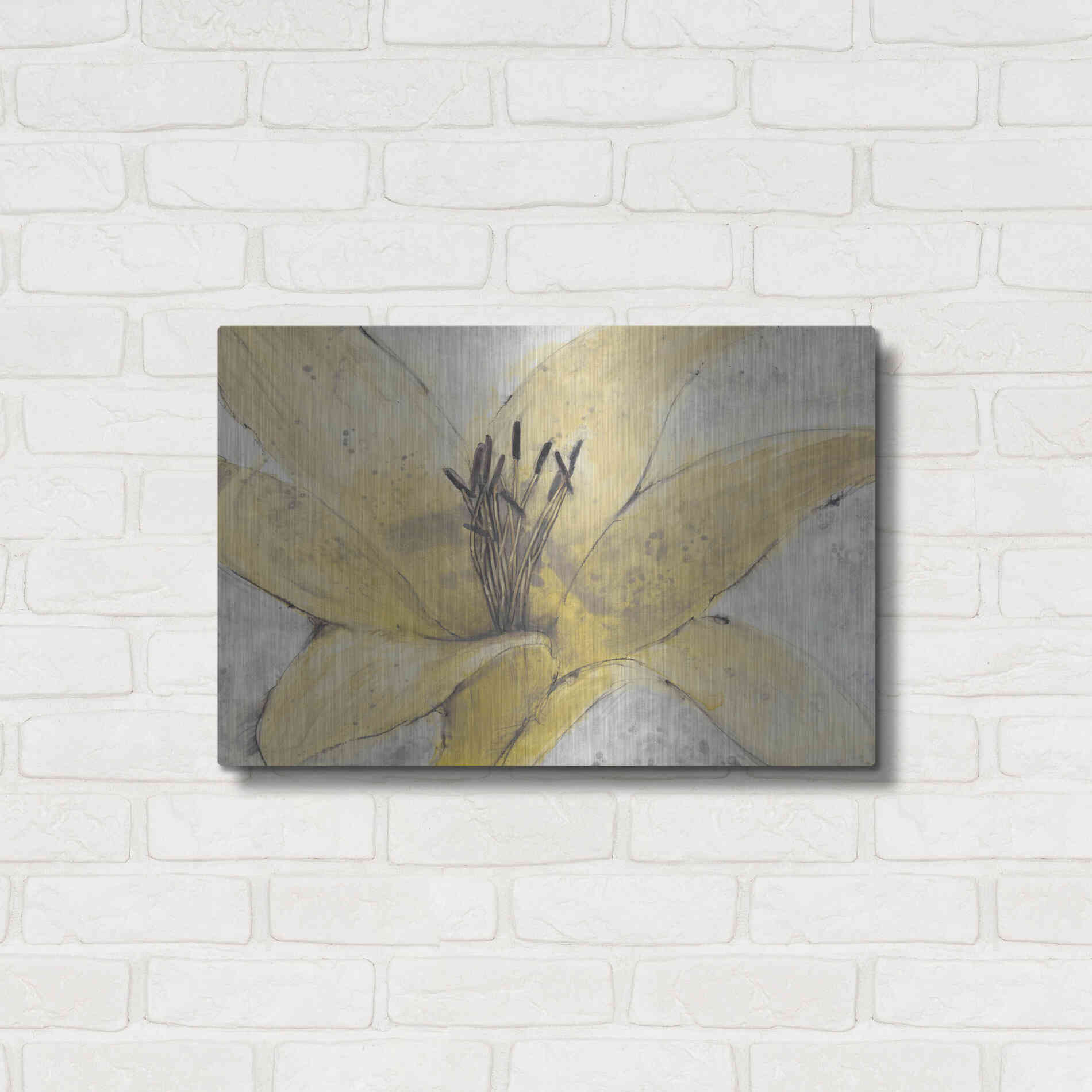 Luxe Metal Art 'Transparency Flower I' by Tim O'Toole, Metal Wall Art,24x16