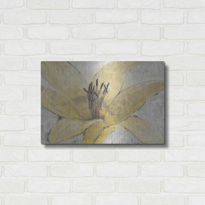 Luxe Metal Art 'Transparency Flower I' by Tim O'Toole, Metal Wall Art,24x16