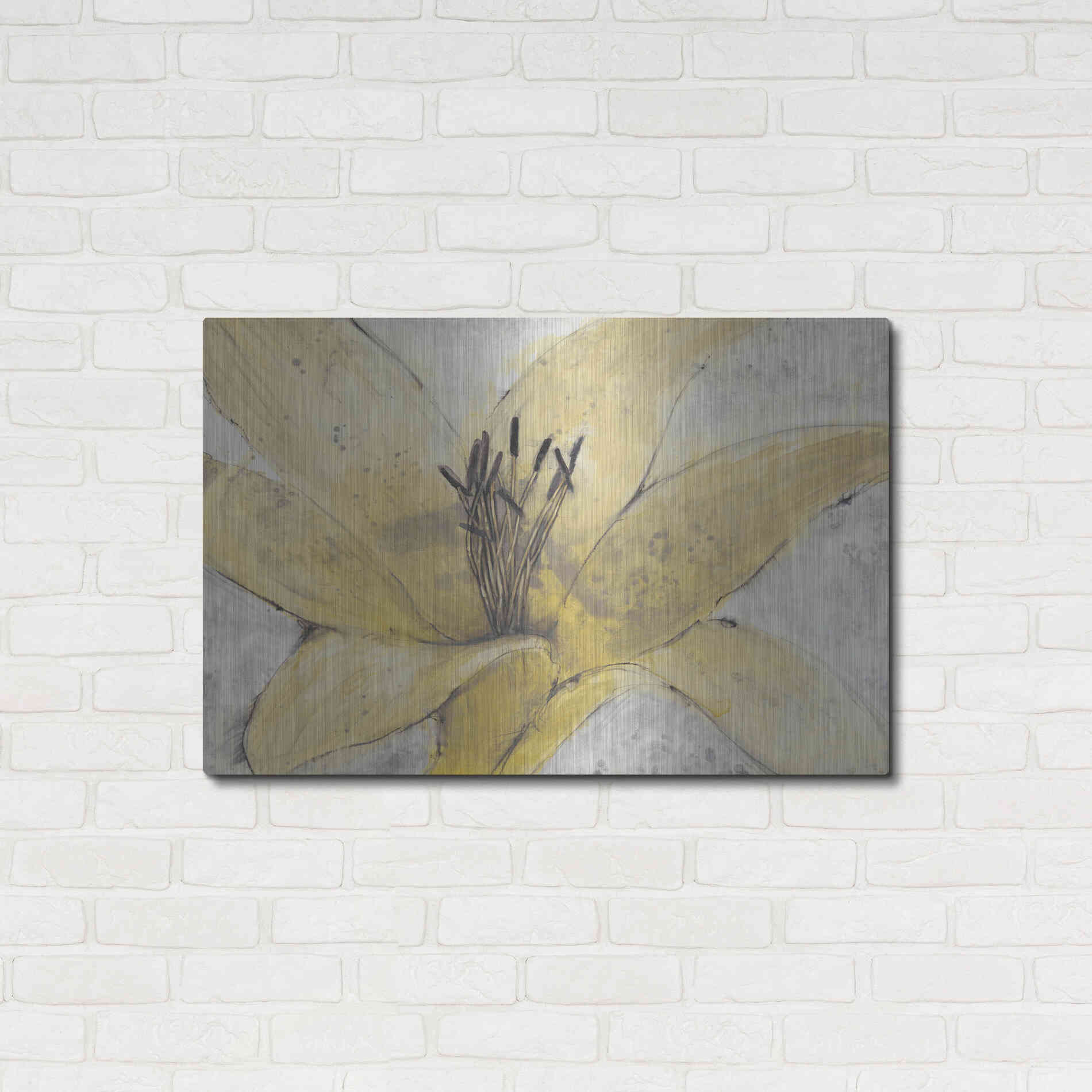 Luxe Metal Art 'Transparency Flower I' by Tim O'Toole, Metal Wall Art,36x24