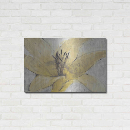Luxe Metal Art 'Transparency Flower I' by Tim O'Toole, Metal Wall Art,36x24