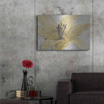 Luxe Metal Art 'Transparency Flower I' by Tim O'Toole, Metal Wall Art,36x24