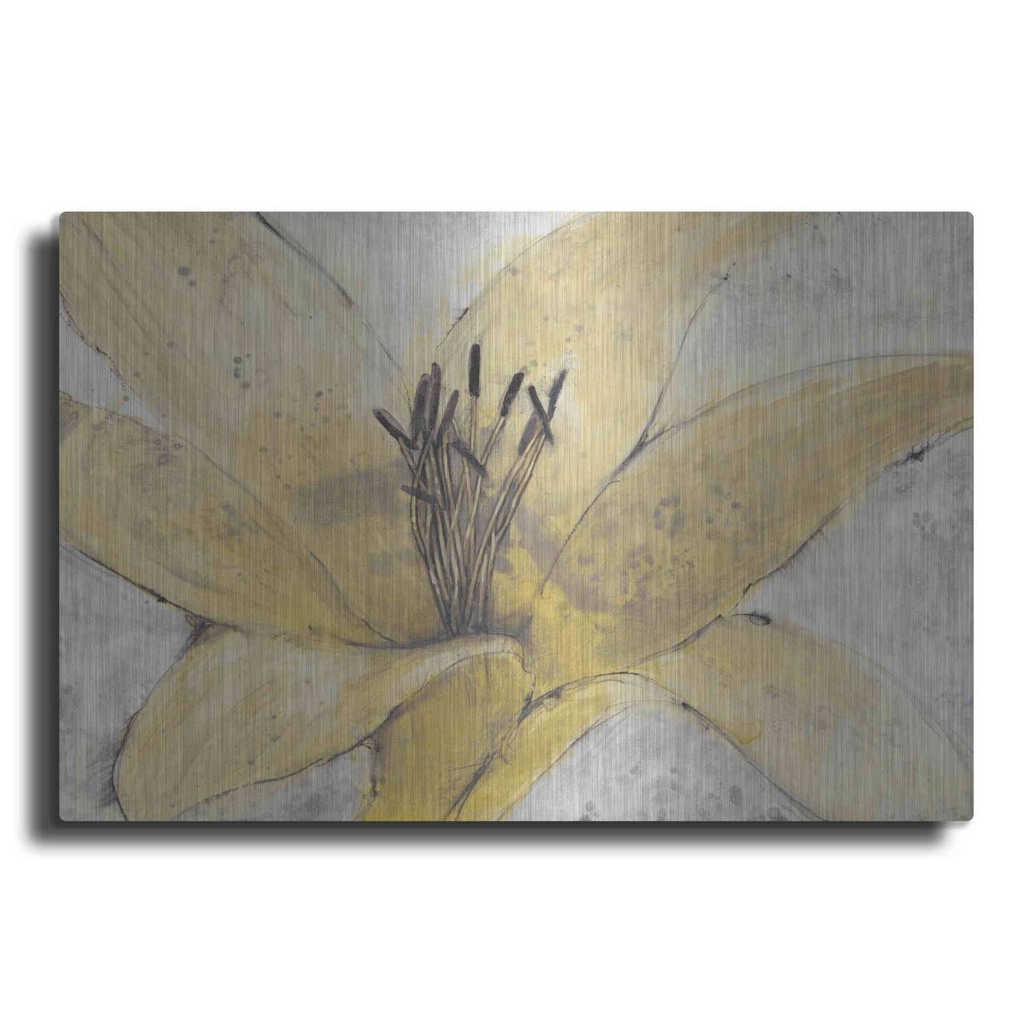 Luxe Metal Art 'Transparency Flower I' by Tim O'Toole, Metal Wall Art
