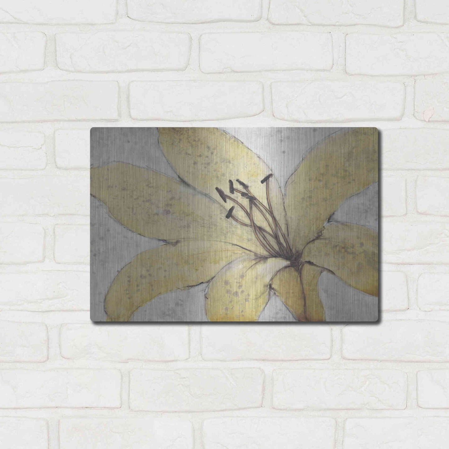 Luxe Metal Art 'Transparency Flower II' by Tim O'Toole, Metal Wall Art,16x12