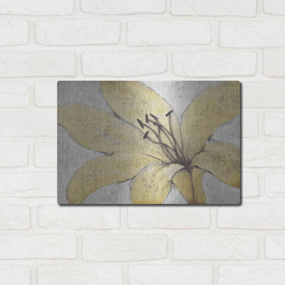 Luxe Metal Art 'Transparency Flower II' by Tim O'Toole, Metal Wall Art,16x12