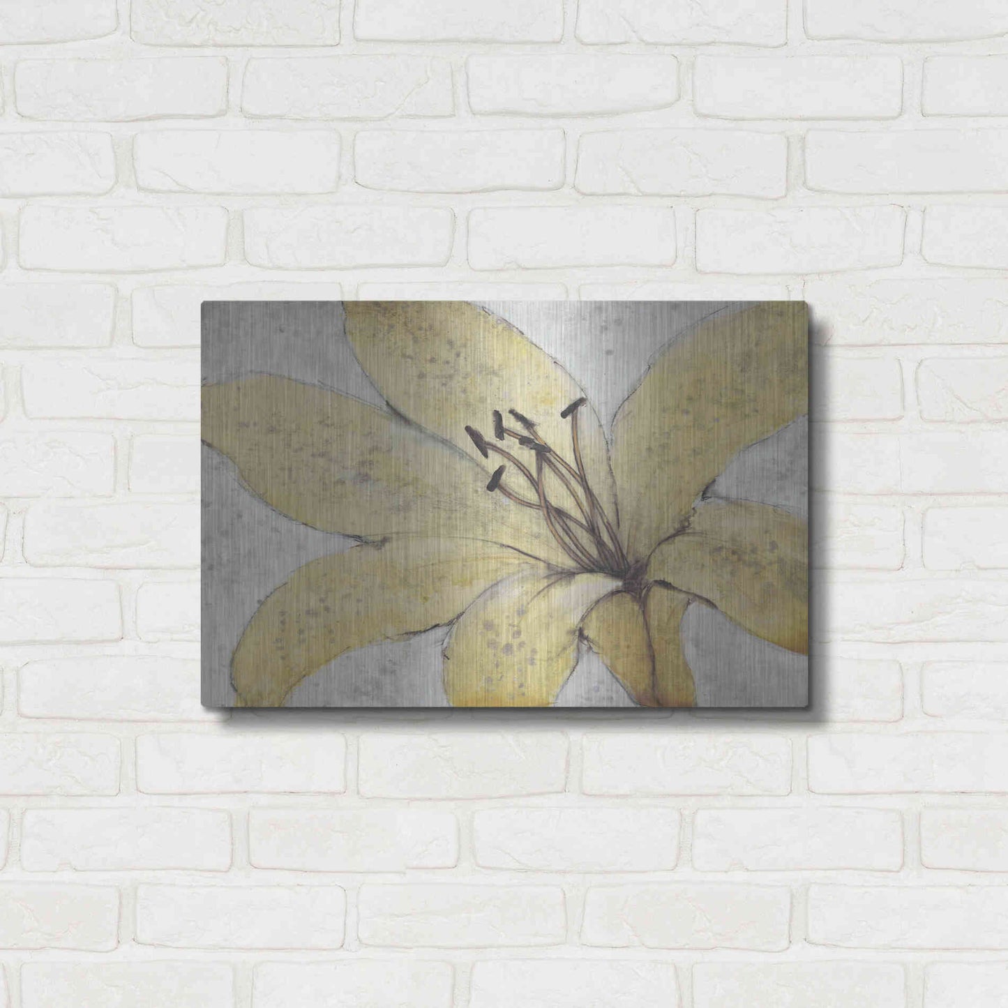 Luxe Metal Art 'Transparency Flower II' by Tim O'Toole, Metal Wall Art,24x16