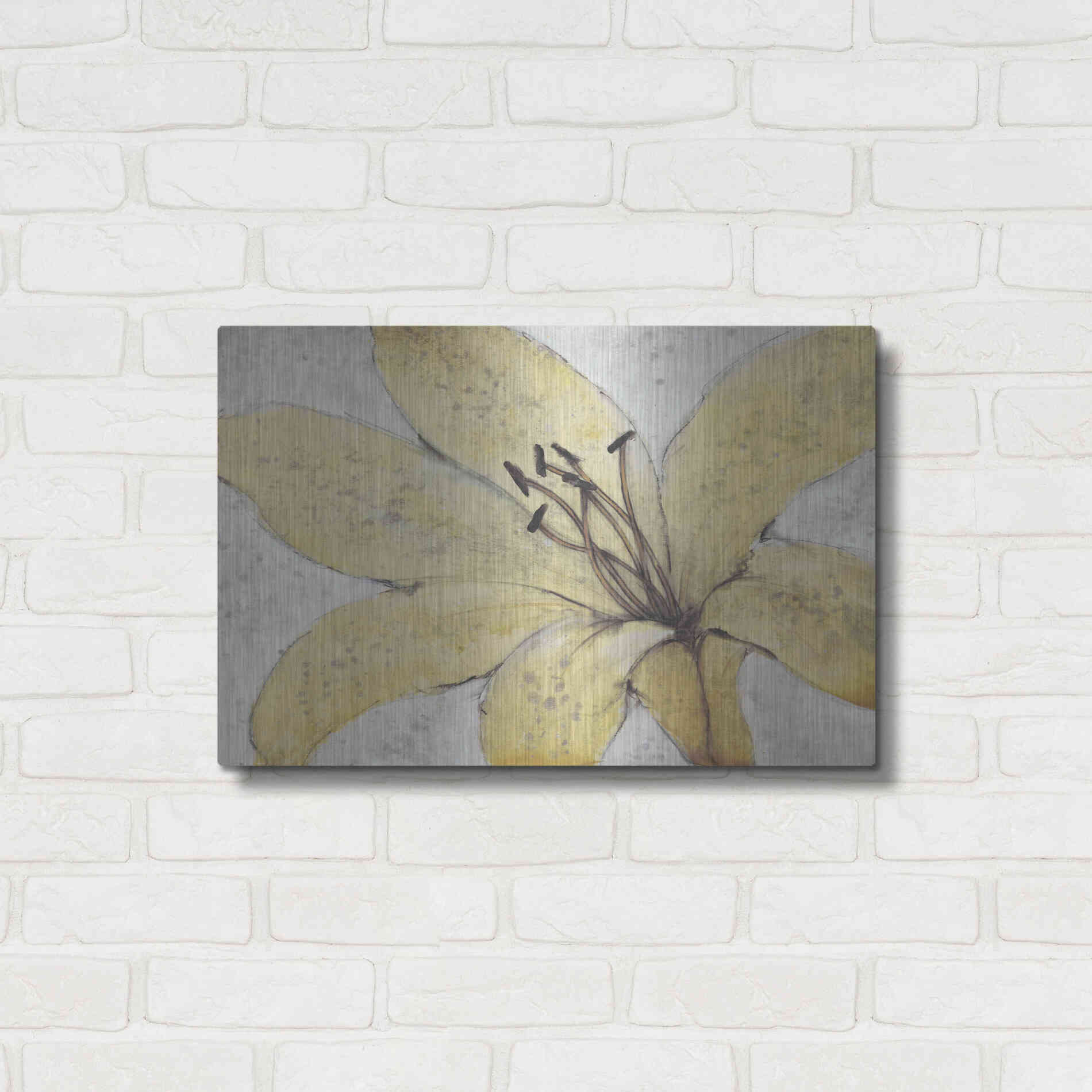 Luxe Metal Art 'Transparency Flower II' by Tim O'Toole, Metal Wall Art,24x16