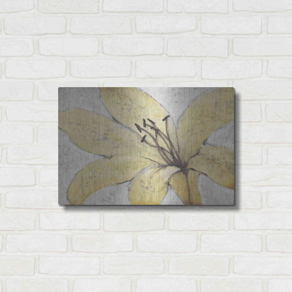 Luxe Metal Art 'Transparency Flower II' by Tim O'Toole, Metal Wall Art,24x16