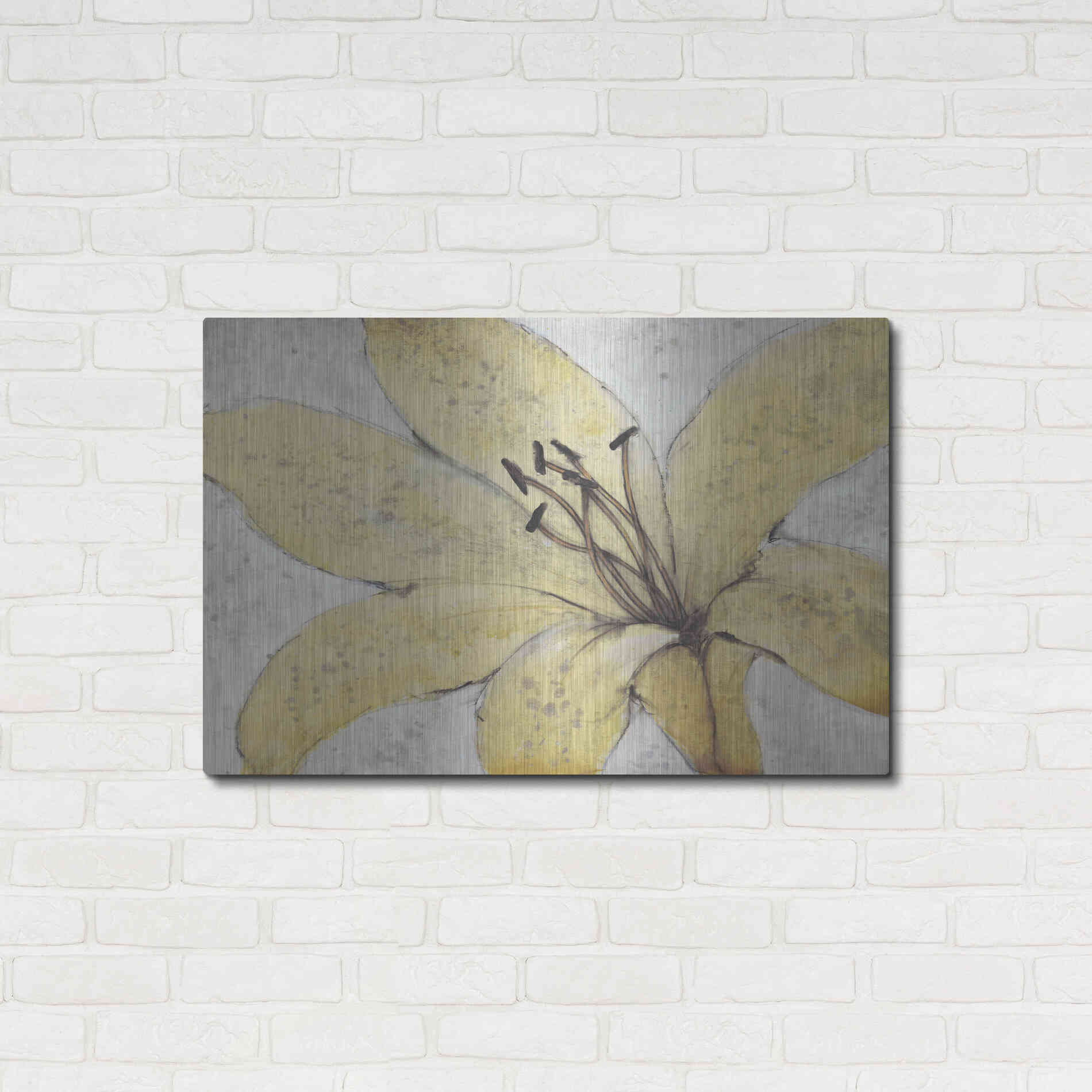 Luxe Metal Art 'Transparency Flower II' by Tim O'Toole, Metal Wall Art,36x24