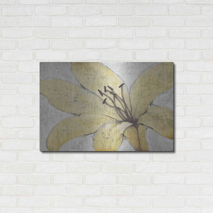 Luxe Metal Art 'Transparency Flower II' by Tim O'Toole, Metal Wall Art,36x24