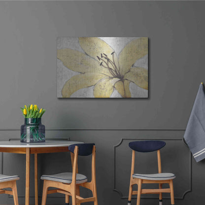 Luxe Metal Art 'Transparency Flower II' by Tim O'Toole, Metal Wall Art,36x24