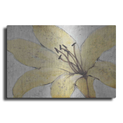 Luxe Metal Art 'Transparency Flower II' by Tim O'Toole, Metal Wall Art