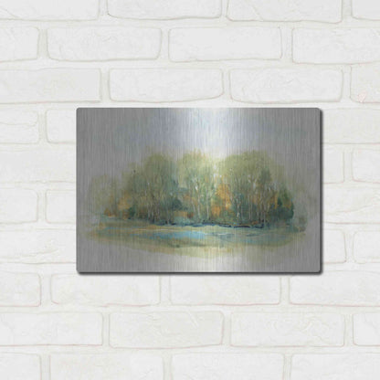 Luxe Metal Art 'Forest Vignette I' by Tim O'Toole, Metal Wall Art,16x12