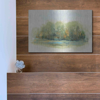 Luxe Metal Art 'Forest Vignette I' by Tim O'Toole, Metal Wall Art,16x12