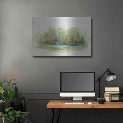 Luxe Metal Art 'Forest Vignette I' by Tim O'Toole, Metal Wall Art,36x24