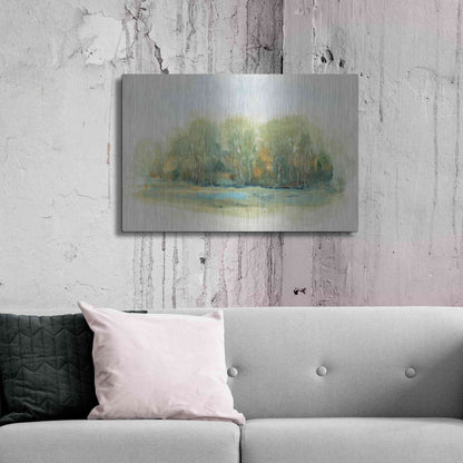 Luxe Metal Art 'Forest Vignette I' by Tim O'Toole, Metal Wall Art,36x24