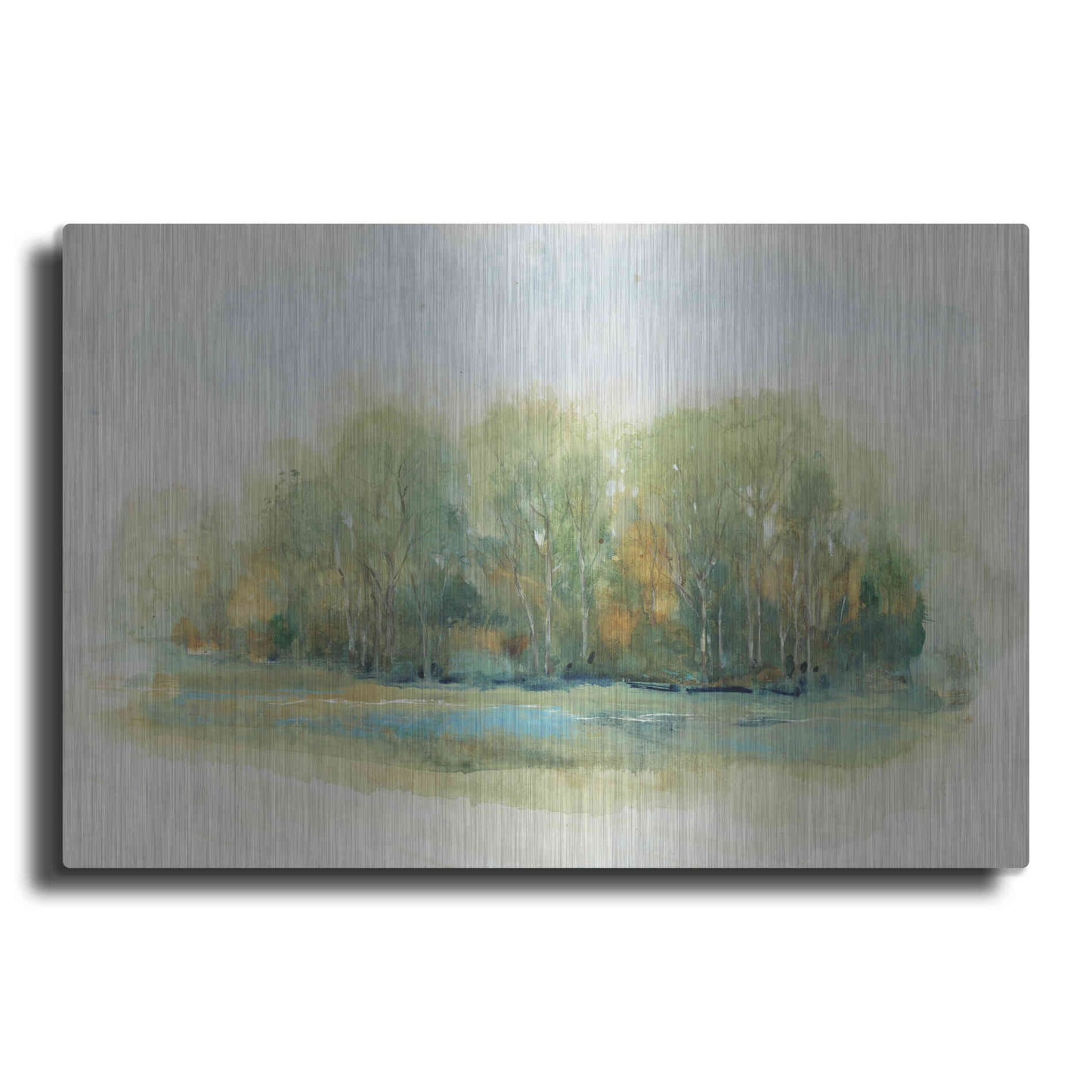 Luxe Metal Art 'Forest Vignette I' by Tim O'Toole, Metal Wall Art