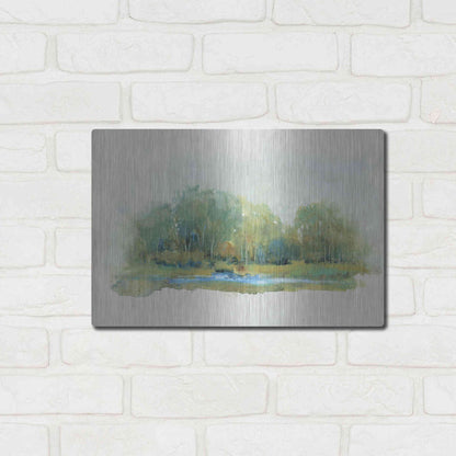 Luxe Metal Art 'Forest Vignette II' by Tim O'Toole, Metal Wall Art,16x12