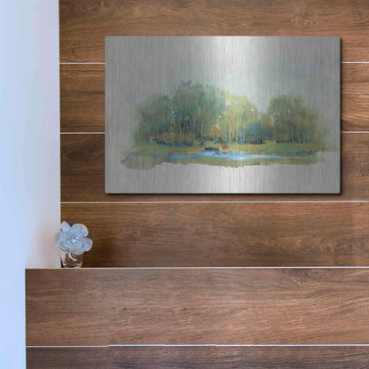 Luxe Metal Art 'Forest Vignette II' by Tim O'Toole, Metal Wall Art,16x12