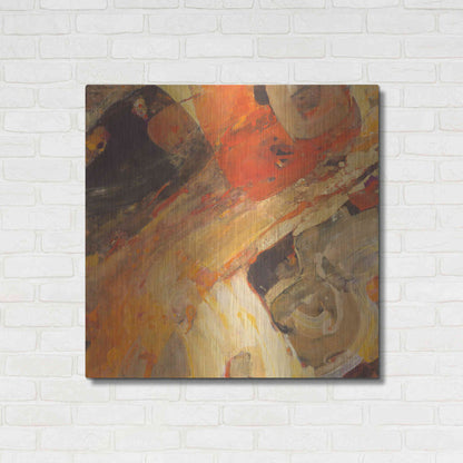 Luxe Metal Art 'Moab' by Albena Hristova, Metal Wall Art,36x36