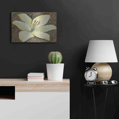 Luxe Metal Art 'Neutral Lily I' by Tim O'Toole, Metal Wall Art,24x16