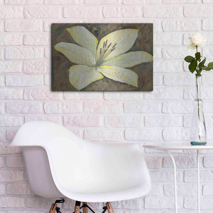 Luxe Metal Art 'Neutral Lily I' by Tim O'Toole, Metal Wall Art,24x16