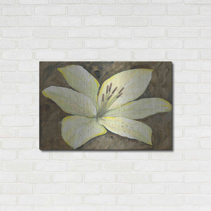 Luxe Metal Art 'Neutral Lily I' by Tim O'Toole, Metal Wall Art,36x24