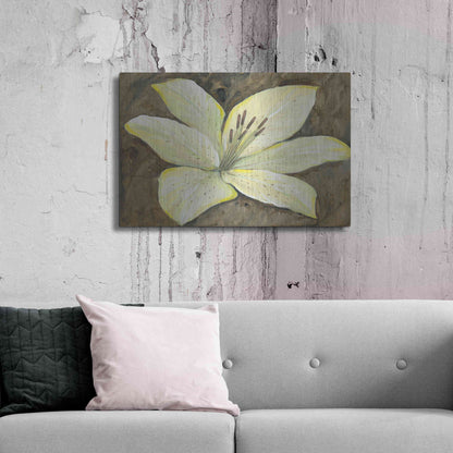 Luxe Metal Art 'Neutral Lily I' by Tim O'Toole, Metal Wall Art,36x24