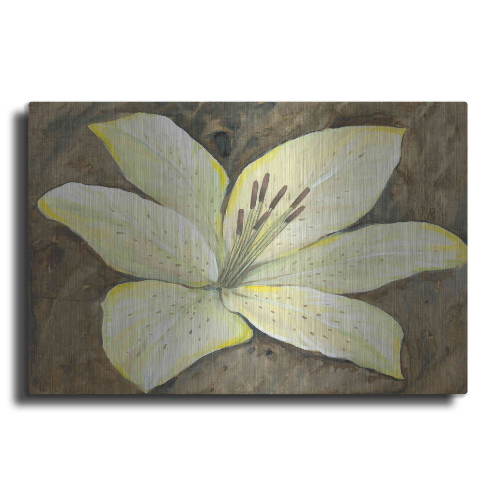 Luxe Metal Art 'Neutral Lily I' by Tim O'Toole, Metal Wall Art