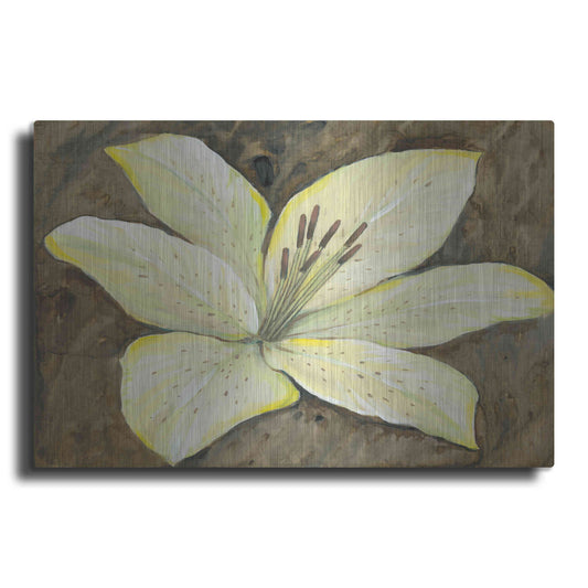 Luxe Metal Art 'Neutral Lily I' by Tim O'Toole, Metal Wall Art