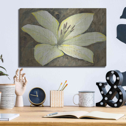 Luxe Metal Art 'Neutral Lily II' by Tim O'Toole, Metal Wall Art,16x12