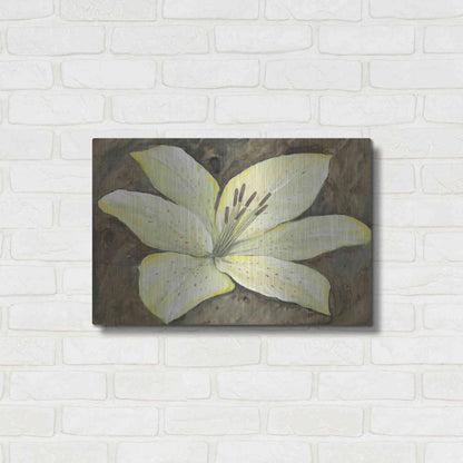 Luxe Metal Art 'Neutral Lily II' by Tim O'Toole, Metal Wall Art,24x16