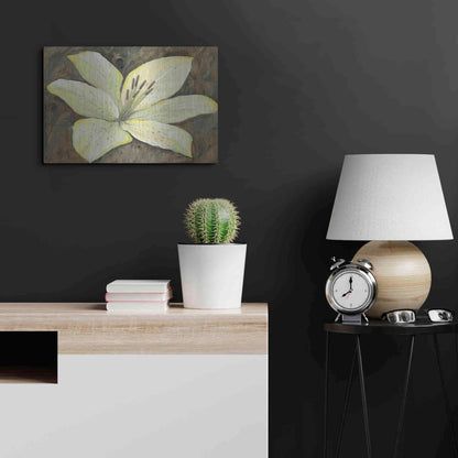 Luxe Metal Art 'Neutral Lily II' by Tim O'Toole, Metal Wall Art,24x16