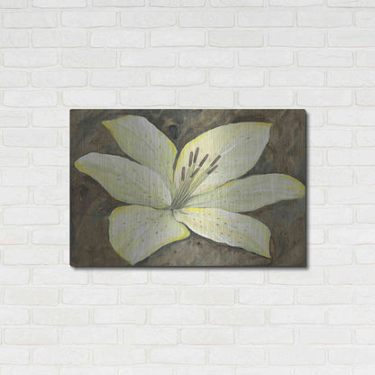 Luxe Metal Art 'Neutral Lily II' by Tim O'Toole, Metal Wall Art,36x24